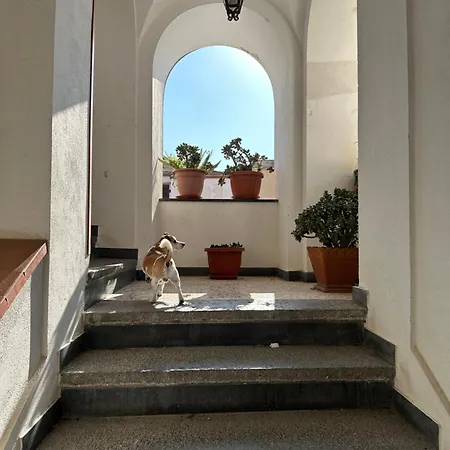 Frühstückspension Frai 4*