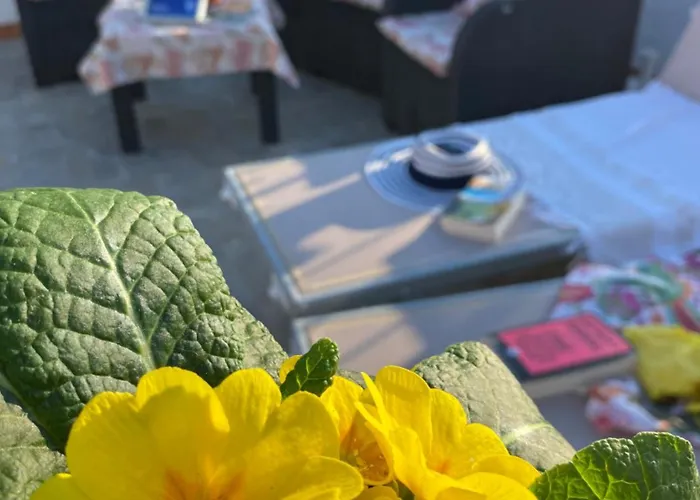 Frühstückspension Frai